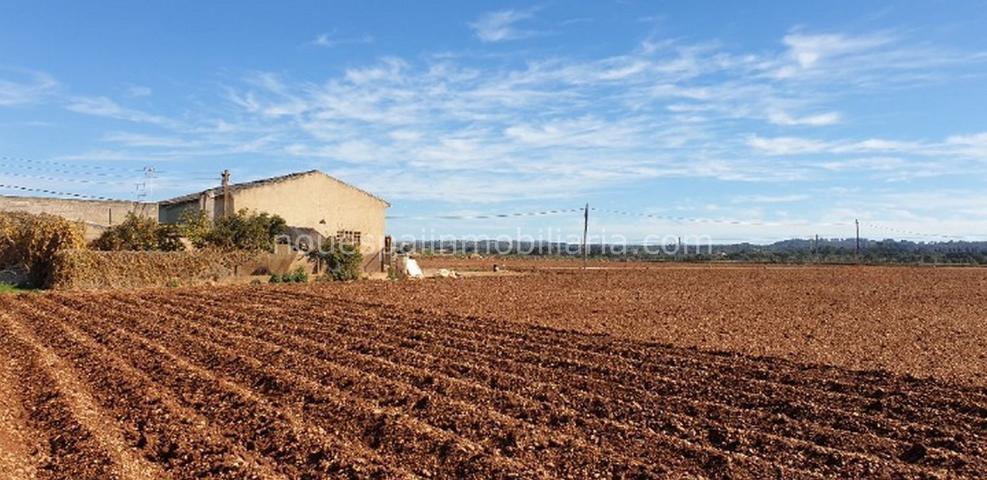 Terreno Urbanizable En venta en Llubí, 22, Zona Periurbana, Inca photo 0
