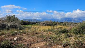 Terreno Urbanizable En venta en Poligono, 22, Llubi photo 0