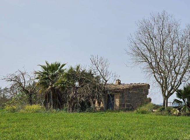 Casa De Campo En venta en Llubi photo 0