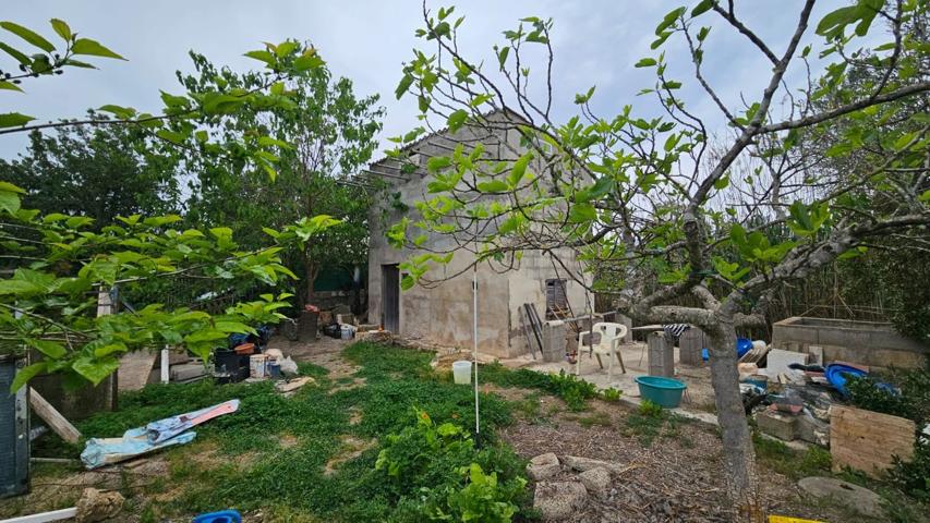 Terreno Urbanizable En venta en Pobla (sa) photo 0