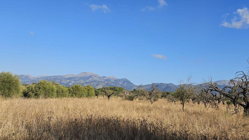 Terreno Urbanizable En venta en Afueras, 7, Buger photo 0