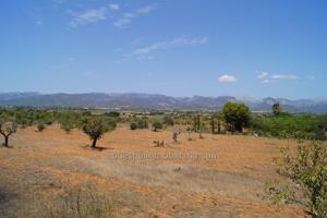 Terreno Urbanizable En venta en Carretera Santa Eugenia, Santa Eugenia photo 0