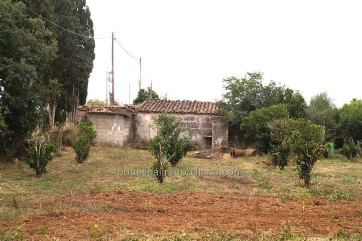 Casa De Campo En venta en Carretera Sa Pobla-Llubí, Llubi photo 0