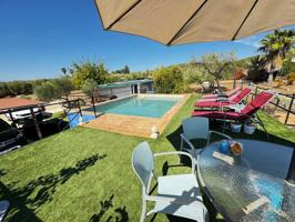 Increíble chalet en Lora Del Rio totalmente reformado con piscina y olivar photo 0