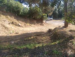 Oportunidad Única: Parcela en Venta en Tordera, Zona Mas Mora photo 0