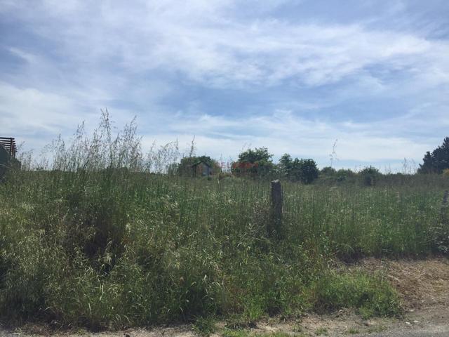 FINCA EDIFICABLE EN PEREIRO photo 0