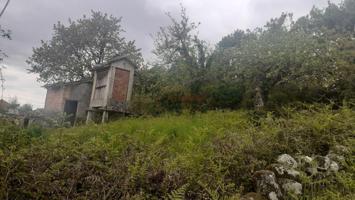 CONSTRUCION DE PIEDRA DEL PAIS photo 0