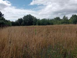 FINCA EDIFICABLE EN O CONCELLO DE PEREIRO photo 0