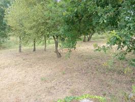 FINCA EDIFICABLE O PICOUTO photo 0