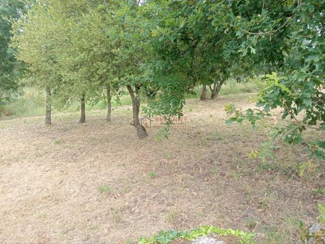 FINCA EDIFICABLE O PICOUTO photo 0