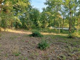 Finca edificable a la salida de San Miguel do campo. photo 0