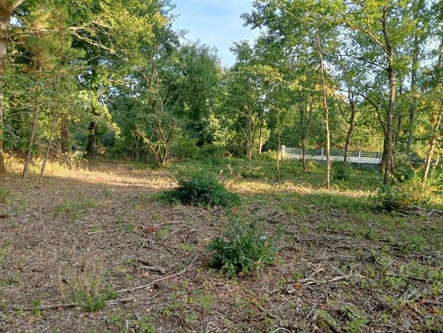 Finca edificable a la salida de San Miguel do campo. photo 0