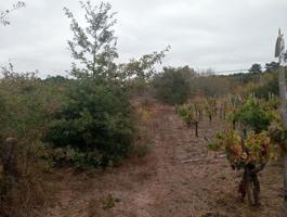 FINCA EDIFICABLE EN CASTROVERDE photo 0