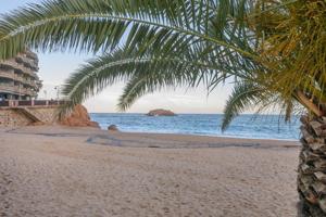 TOSSA DE MAR photo 0