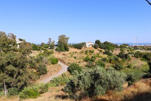 OPORTUNIDAD ÚNICA EN MIJAS: FINCA CON 19.200 m² DE TERRENO Y VISTAS AL MAR photo 0