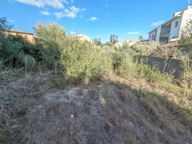 Otro En venta en Sant Joan photo 0