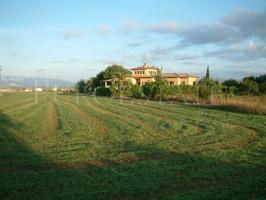 Otro En venta en Son Gual, Palma De Mallorca photo 0
