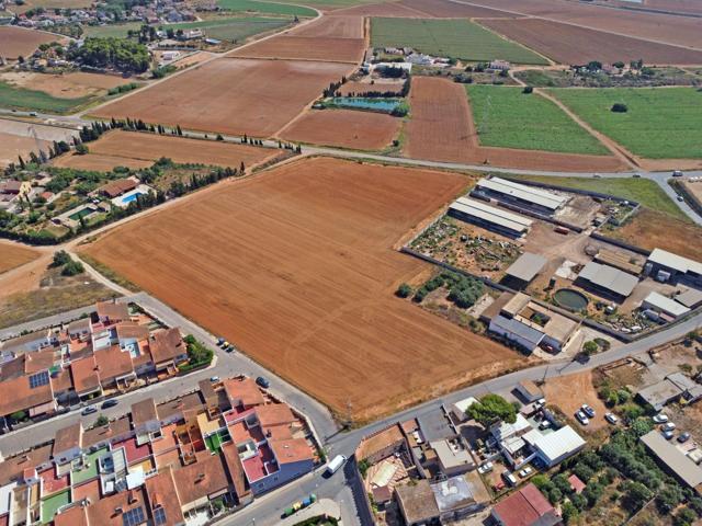 Se vende finca de 25100 m2 con casa y almacen photo 0