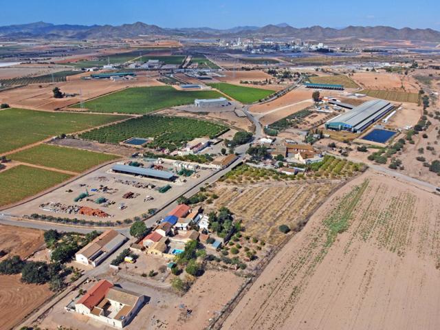 SE VENDE CASA CON TERRENO DE 3.000 M2 EN LA MINA photo 0