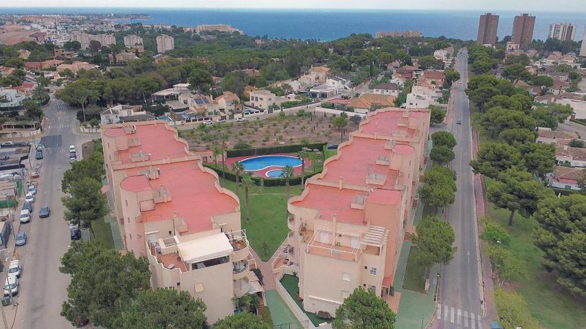 Piso Bajo con Jardín Privado y Acceso a Piscina en ZONA CAMPOAMOR, ORIHUELA photo 0