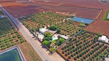 Se vende finca de regadio con 30.000 m2 con una vivienda, piscina y pantano propio photo 0