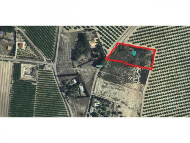 Finca rustica en venta en Área de Molina de Segura photo 0
