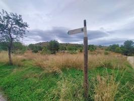 Terrenos urbanizables Plan Parcial Casino photo 0