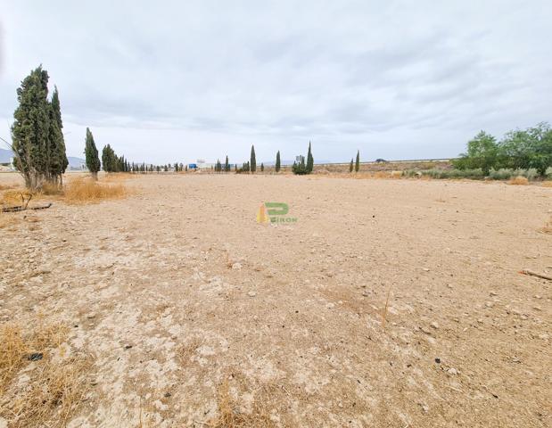 Terreno Urbanizable En venta en Autovia Lorca Aguilas, Purias, Lorca photo 0