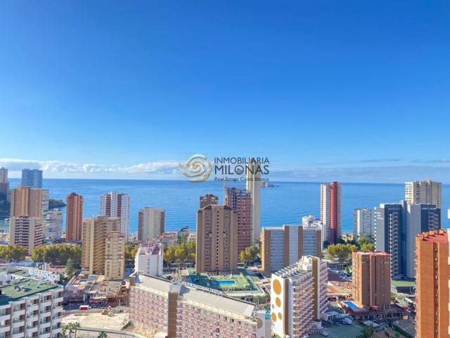 El estilo de vida que mereces, reside en las las alturas de la ciudad de Benidorm. photo 0