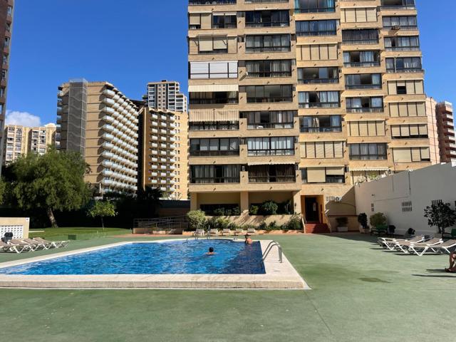 ¡OPORTUNIDAD! Esplendido apartamento en la zona Levante photo 0