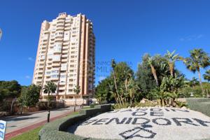 Apartamento de 1 dormitorio en zona residencial de la playa de Poniente en Benidorm photo 0