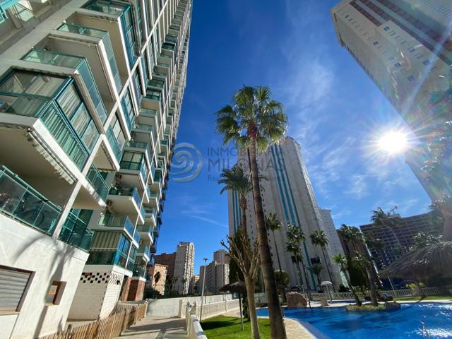 Estudio en planta alta con vistas despejadas a pocos metros de la playa de la Cala de Villajoyosa photo 0