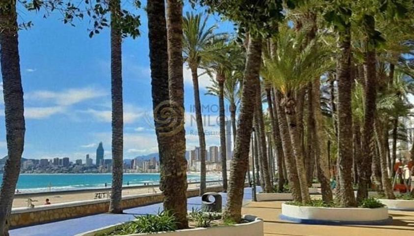 ¡Oportunidad única en en centro de Benidorm a pocos metros de la playa de Poniente! photo 0