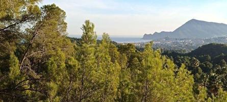 Magnífica parcela urbana en Altea la Vella con proyecto visado photo 0