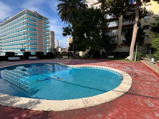 🌟 ¡Tu hogar junto al mar te espera en Benidorm! 🌟 photo 0