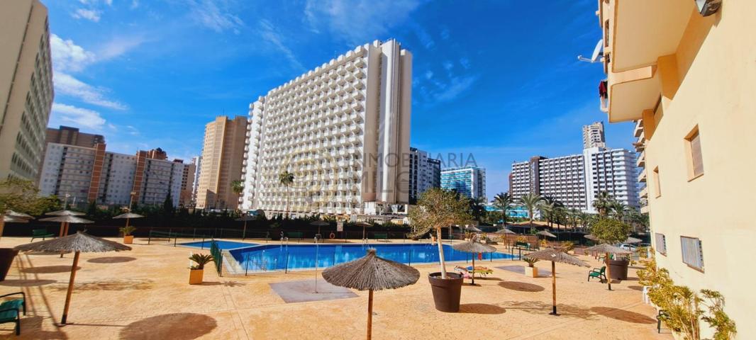 Estudio con espectaculares vistas en venta en Benidorm photo 0