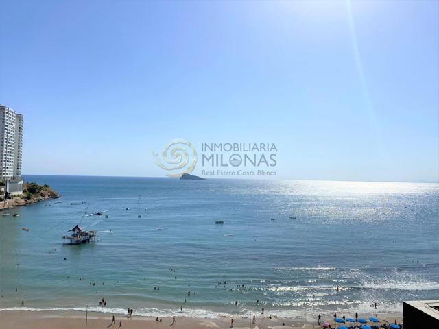 Apartamento en primera línea de la playa de Levante de Benidorm photo 0