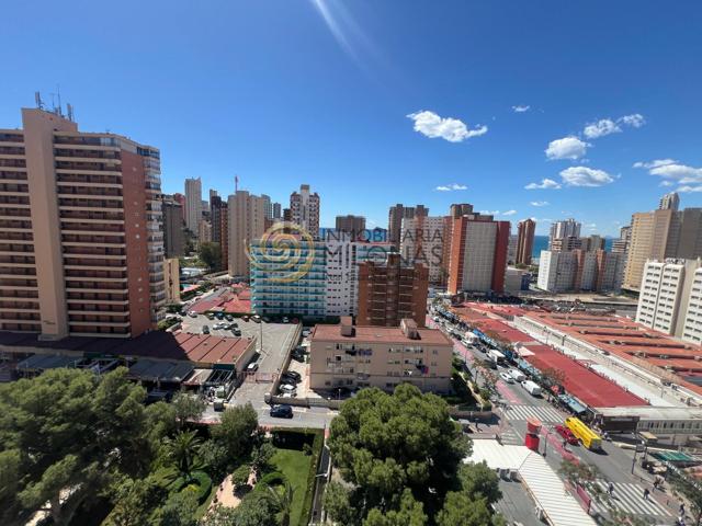 Ven a vivir a Benidorm y disfruta de la comodidad de la ciudad. photo 0