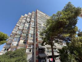 Vive donde siempre has soñado: en una de las mejores zonas de Benidorm. photo 0
