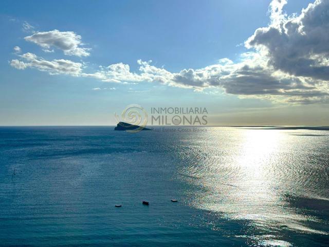 Alquiler de larga temporada en Playa Levante (Benidorm) photo 0