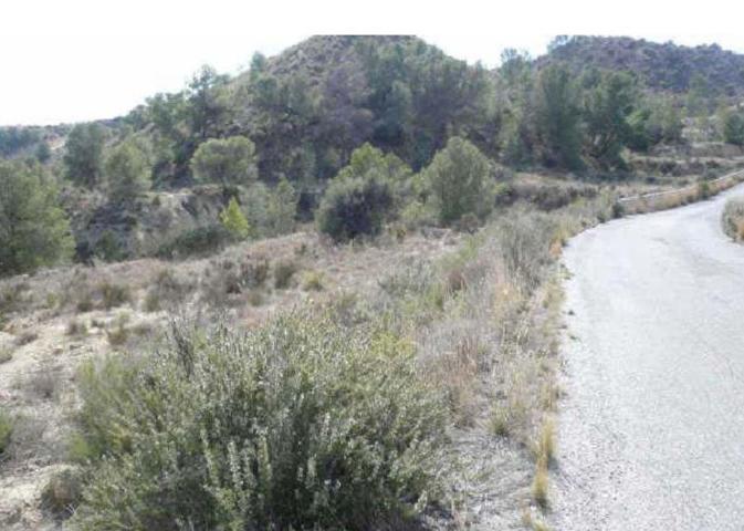 Suelo no urbanizable en venta en pre. los zarates poligono 4 parcela 113 y 114, s-n, Molina De Segur photo 0
