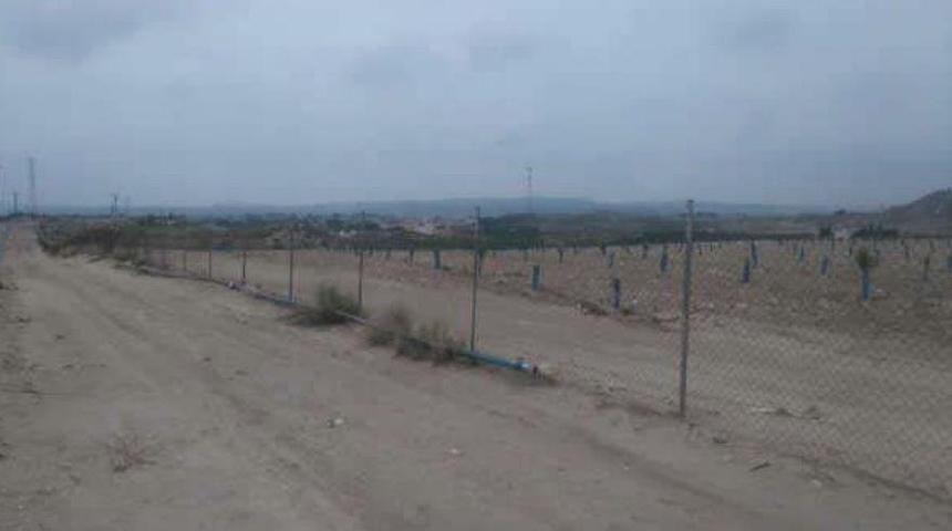 Terreno rústico en venta en Pre. de la Alabarda, Polígono 33, Molina De Segura, Murcia photo 0