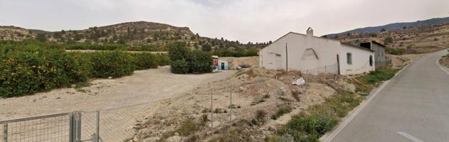 Terreno Regadio y Secano en venta en Cañada Gil, Ricote, Murcia photo 0