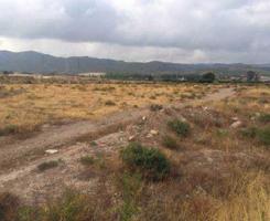 erreno urbanizable para invertir en Pago del Mayayo, El Palmar Murcia photo 0