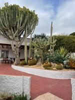 Magnífico Chalet independiente con piscina y 1000m2 de parcela en El Bacarot photo 0