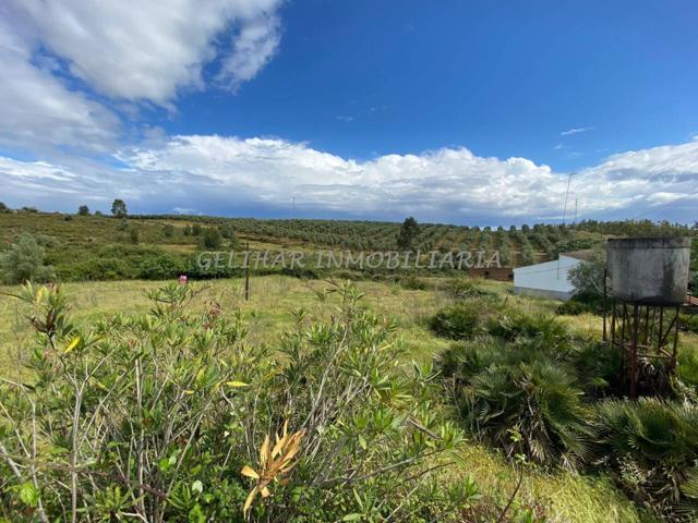 Finca rustica en venta en Zalamea la Real photo 0