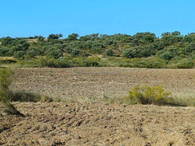 PARCELA EN LA PEÑUELA photo 0