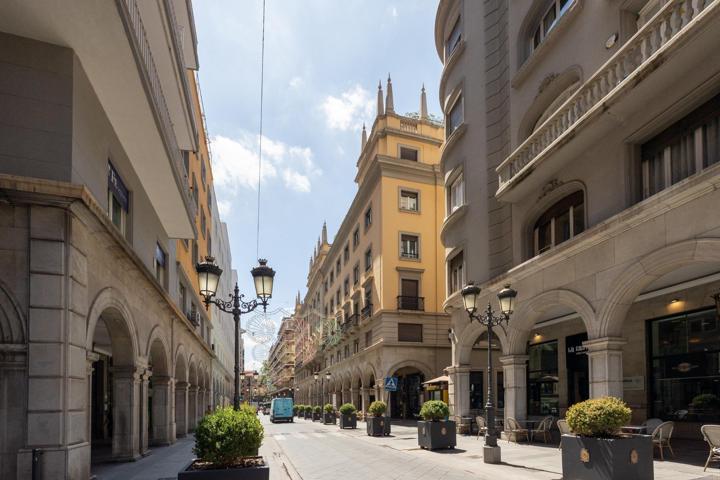 Magnífico piso recién reformado en pleno centro de Granada. photo 0