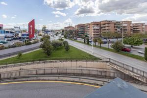 Parque Lagos photo 0