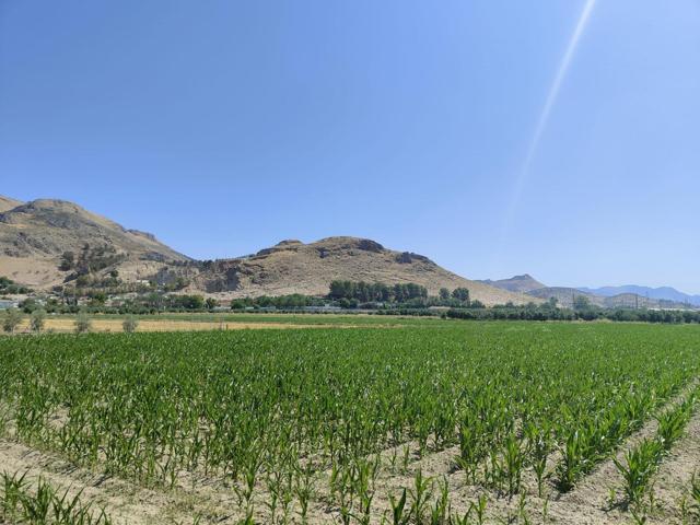 Parcela rústica de cultivo en Atarfe – Vega de Granada (22.000 m²) photo 0